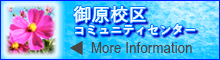 mihara-banner.jpg